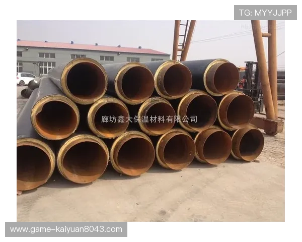 皇冠球网的材料选择与环保性能分析与建议 皇冠球网的材料选择与环保性能分析与建议